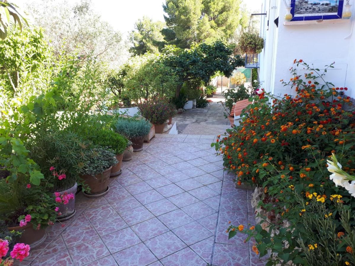 Villa Paradise Private Pool And Garden In A Natural Park For 9 Jávea Exteriér fotografie